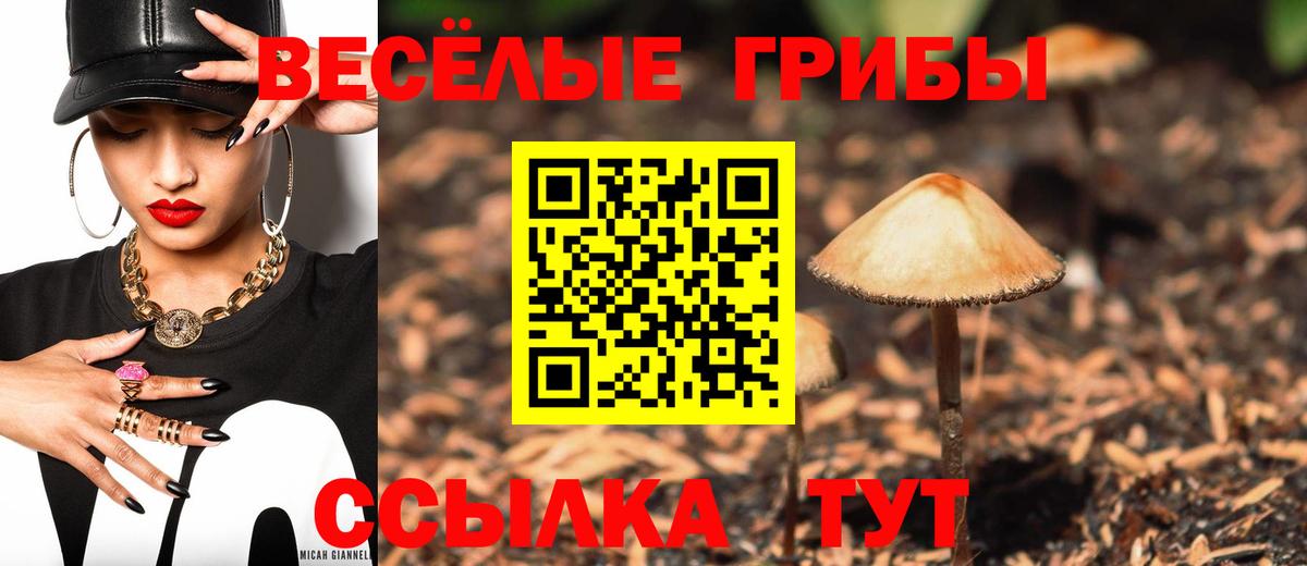 Галлюциногенные грибы MAGIC MUSHROOMS Калуга